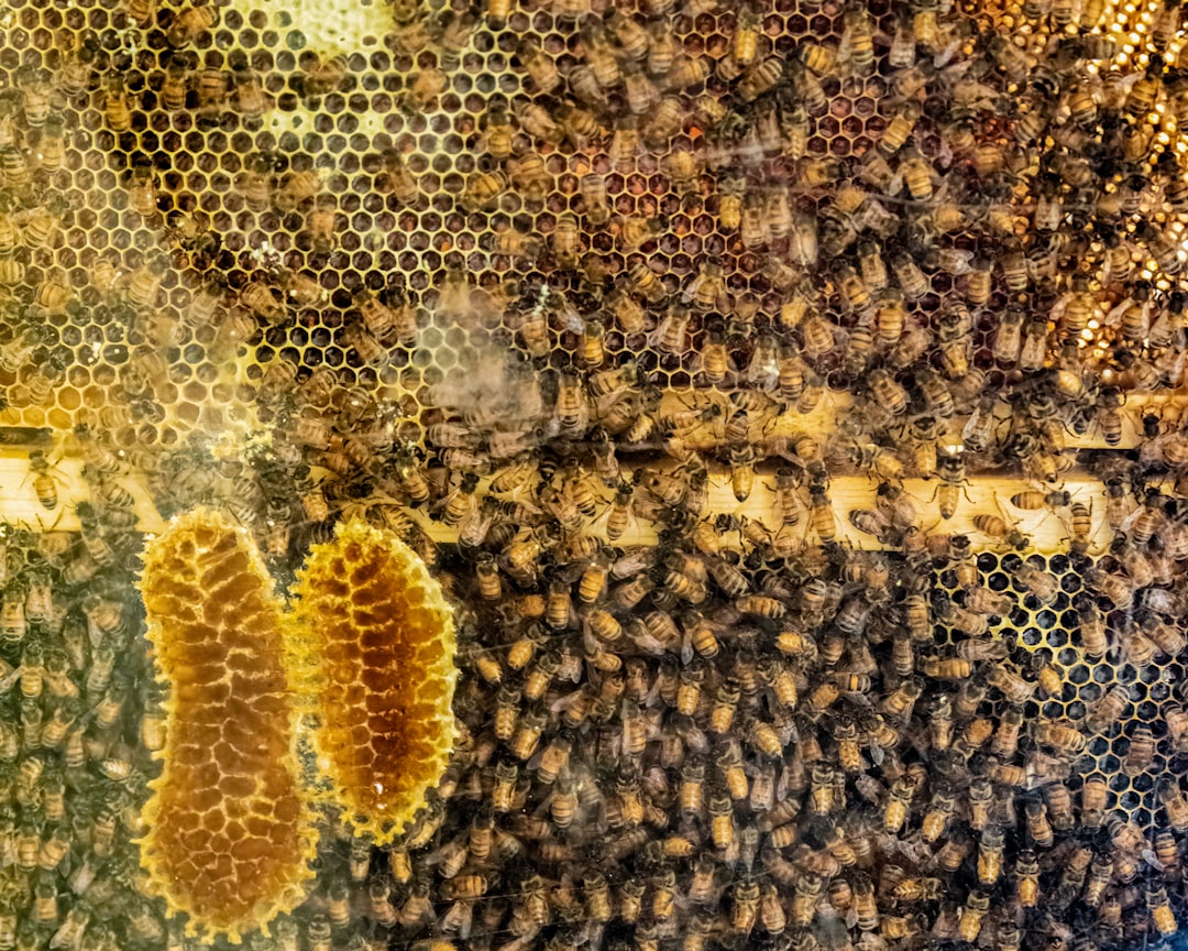 API Bedeutung: Wie moderne Technik-Gadgets miteinander sprechen